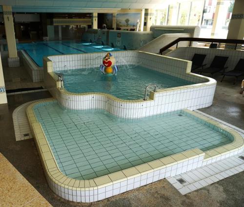 a large swimming pool with a toy in the water at Sylva Apartment inkl TG-Platz im Predigtstuhl Resort in Sankt Englmar