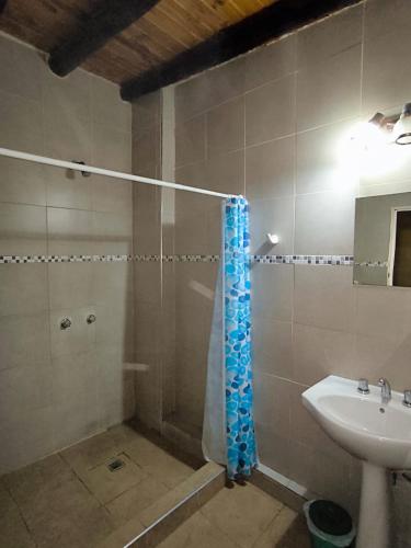 a bathroom with a shower and a sink at Parvis Magna HOSTAL in Barraquero