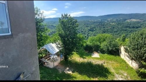 una vista aerea di una casa con un albero di Bağ evi a Quba
