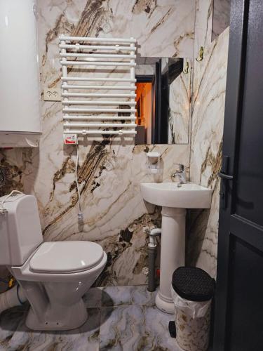 a bathroom with a white toilet and a sink at Hilltop cottage Mestia in Mestia