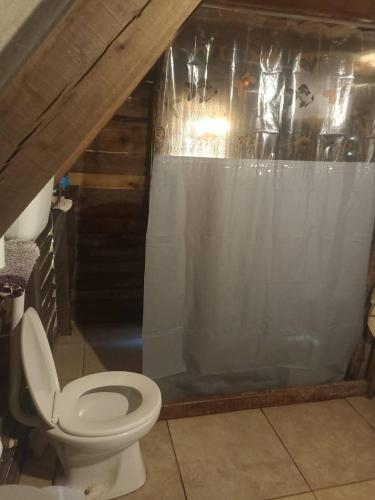 a bathroom with a toilet and a shower curtain at Pukará Reservas con depósito in Barra del Chuy