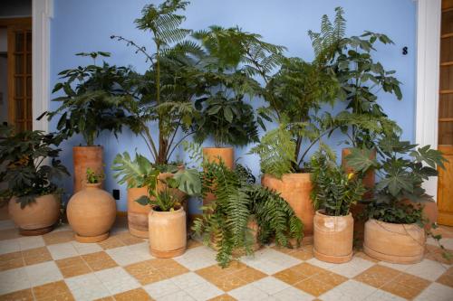 Afbeelding uit fotogalerij van Calle y Número, López Cotilla in Guadalajara