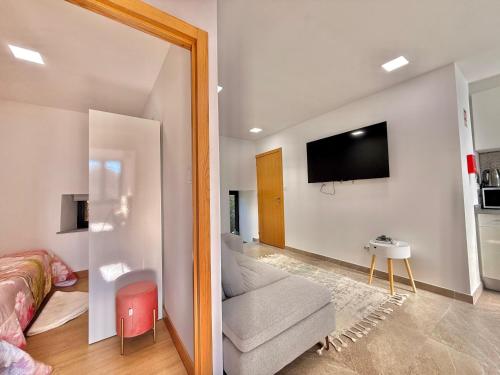 a living room with a couch and a tv on a wall at Casa Dos Passadiços Do Mondego in Trinta