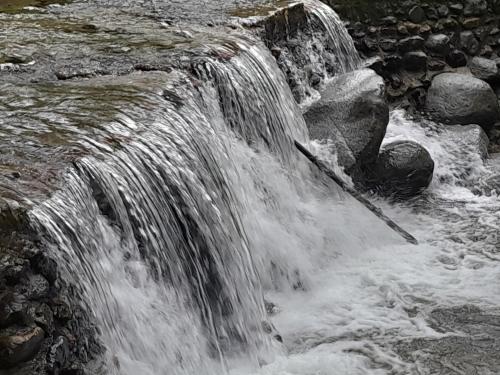 Φωτογραφία από το άλμπουμ του Cabaña la roca de minca sierra nevada στη Σάντα Μάρτα