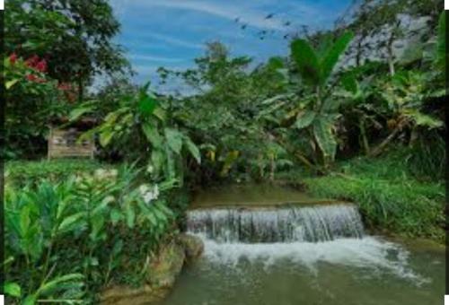Φωτογραφία από το άλμπουμ του Cabaña la roca de minca sierra nevada στη Σάντα Μάρτα