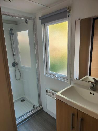 a bathroom with a sink and a window and a shower at La Petite Maison du Park in Boofzheim