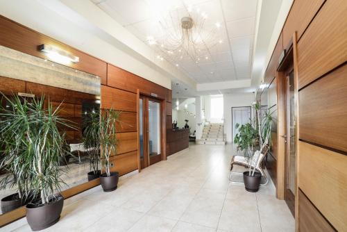 an office hallway with potted plants on the walls at Hotel Crisol de las Rías in Miño