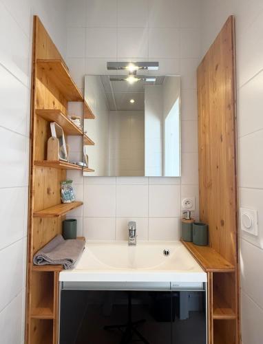 a bathroom with a sink and a mirror at Le Cathedral Hyper Centre Parking Balcon in Saint-Jean-de-Maurienne