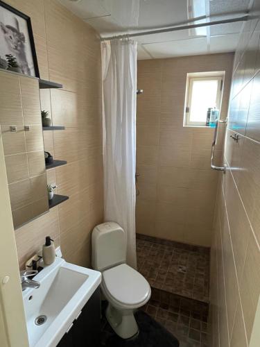 a bathroom with a toilet and a sink and a shower at Kuressaare Kesklinna Korter in Kuressaare