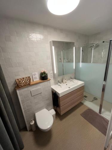 ein Badezimmer mit Toilette, Waschbecken und Dusche in der Unterkunft Maison familiale 100m2 in Witry-lès-Reims