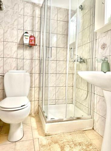 a bathroom with a shower and a toilet and a sink at Casa Zoe in Igoumenitsa