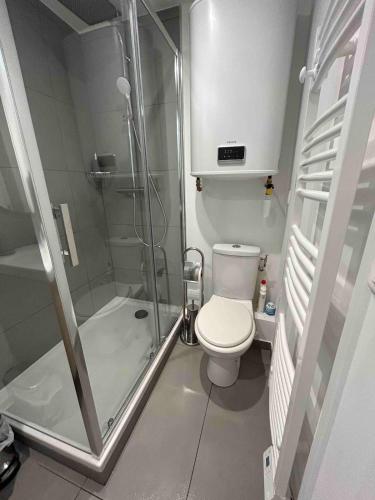 a small bathroom with a shower and a toilet at Le Loft d'Orsay in Orsay