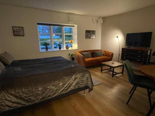 a bedroom with a bed and a couch and a television at Jonstrupvejens Apartments Lejl B in Ballerup