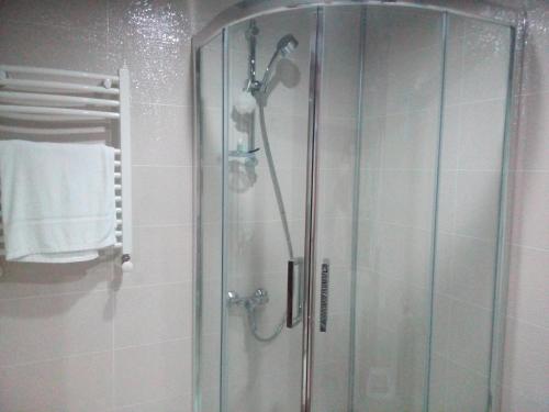 y baño con ducha y puerta de cristal. en Ana Apartment at Orbi en Bakuriani