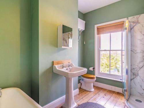 a bathroom with green walls and a sink and a toilet at 3 bed in Holt 87147 in Holt