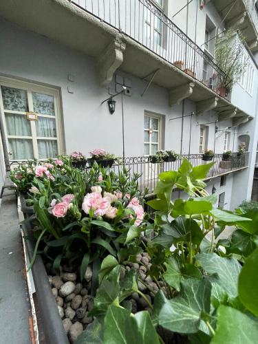 a garden of pink flowers in front of a building at Ai Savoia B&B - Guest House in Turin