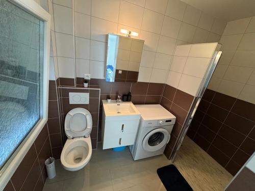 een kleine badkamer met toilet en wastafel bij EJolie in Illzach