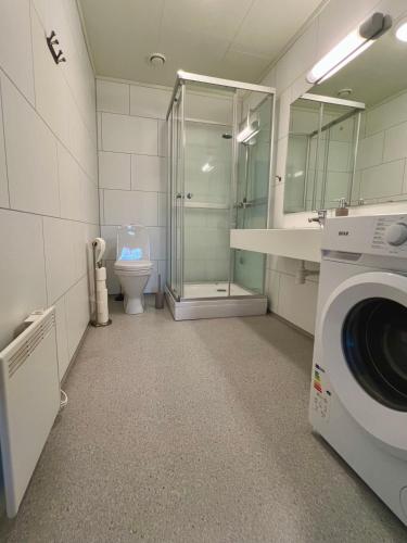 a bathroom with a washing machine and a toilet at Tanabrew in Tana