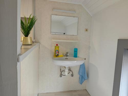 a bathroom with a sink and a mirror at Chambre équipée pour 2p in Ostend