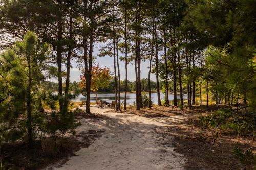 a path through the trees with a lake in the background at Private Lake and Hiking, The Loft at Haven in Cape May Court House