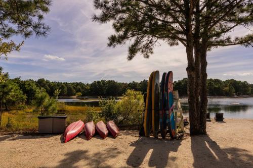 a group of surfboards are lined up next to a tree at Private Lake and Hiking, The Loft at Haven in Cape May Court House