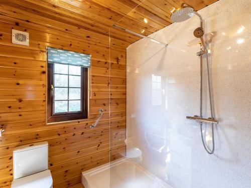 a bathroom with a shower with a toilet and a window at 3 Bed in Clovelly 00372 in Clovelly