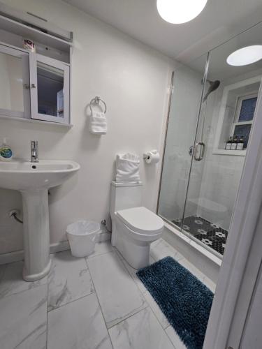 a bathroom with a sink and a toilet and a shower at Harvard Sq whole Unit 5min to campus w parking in Cambridge