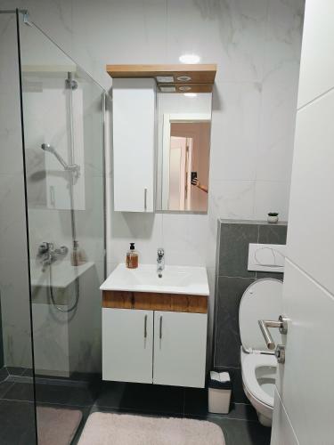 a bathroom with a toilet and a sink and a shower at Fort view in Doboj