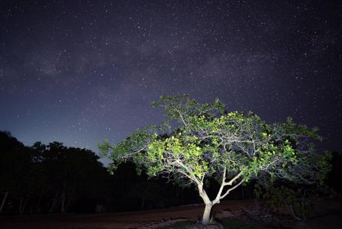 プレジデンテ・フィゲイレドにあるParaíso Manancialのギャラリーの写真