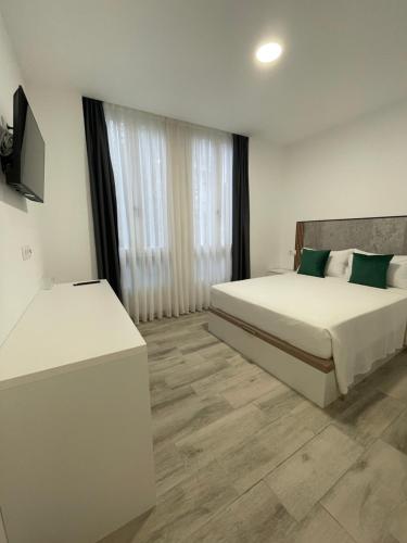 a bedroom with a bed and a television in it at Paseo Malecón Hab in Monforte de Lemos