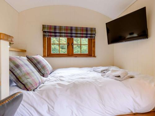 Postel nebo postele na pokoji v ubytování 1 Bed in Freshwater East 89099