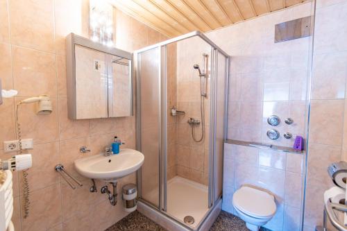 a bathroom with a shower and a sink and a toilet at Hotel und Restaurant Nehrener Hof in Nehren