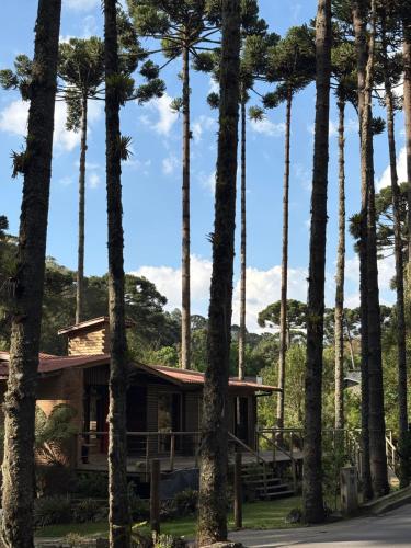 a house surrounded by palm trees at Recanto Bellagio in Campos do Jordão