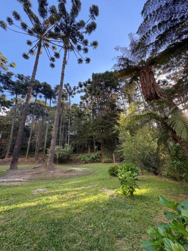 a field with palm trees in a park at Recanto Bellagio in Campos do Jordão