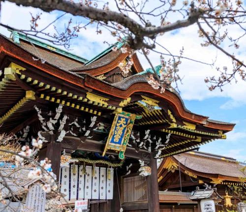 京都新築隠れ家へようこそ hakurakuryokyo