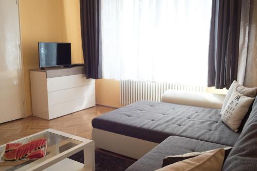 TV a/nebo společenská místnost v ubytování Rebecca Apartment next to Synagogue
