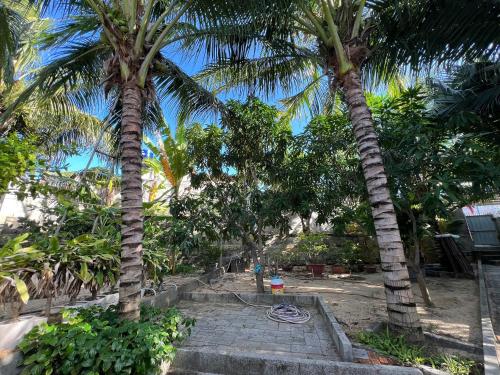 two palm trees in a park with a person standing between them at Nhà Nghỉ Bi Ti in Ấp Long Sơn