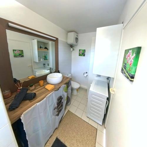 a bathroom with a sink and a toilet at Studio Sucre de Canne - Résidence calme avec plage et piscine privées in Saint-François