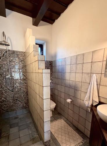 a bathroom with a shower and a toilet and a sink at Equestrian Center Farm House in Mereni