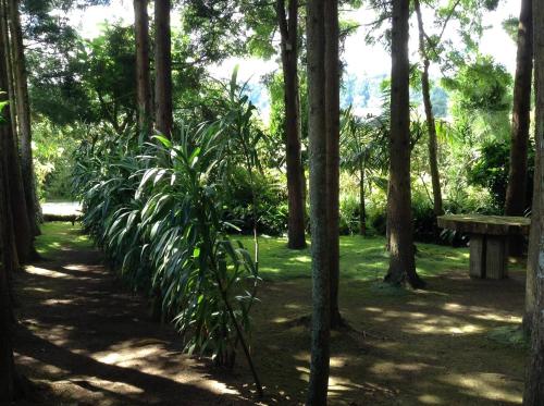 Taman di luar Quinta de Santana - Queimadas