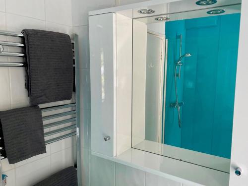 a bathroom with a mirror and a blue door at 2 Bed in Bovey Tracey PRIMC in Hennock