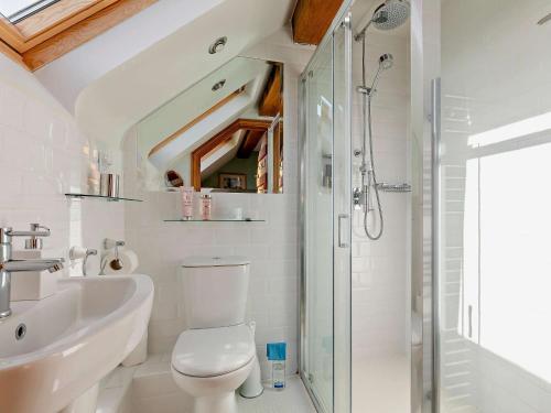 a bathroom with a shower and a toilet and a sink at 2 Bed in Ludlow CHL38 in Caynham