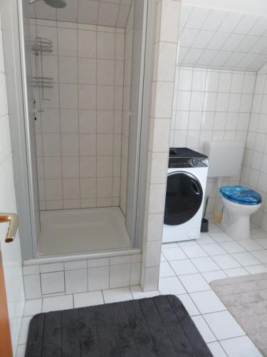 a small bathroom with a shower and a toilet at Wohnung am Tor zur Lewitz in Banzkow