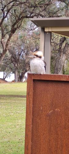 Gallery image of Riversands Rest Accommodation Paringa - Coobah Cottage in Renmark