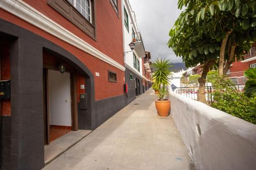 an empty sidewalk next to a building with a potted plant at Sweet Home Botanico in Adeje