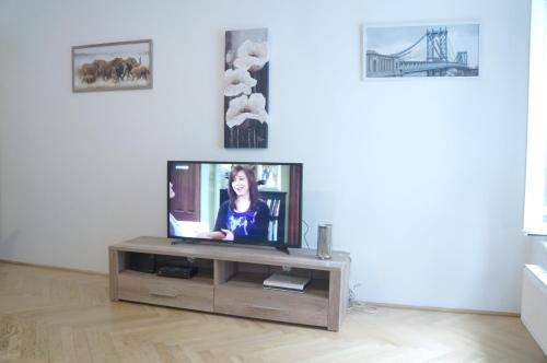 ein Wohnzimmer mit einem TV auf dem Tisch in der Unterkunft Apartment Vienna in Wien