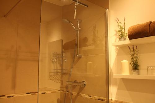 a shower with a glass door in a bathroom at Apartments Luisenhof in Krefeld