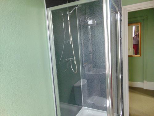 a bathroom with a shower with a toilet in it at Holywell House in Loughborough