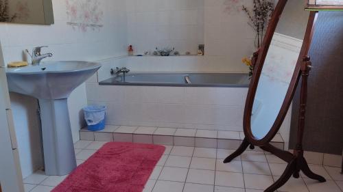 a bathroom with a tub and a sink and a mirror at LA TAILLANDERIE in Laimont
