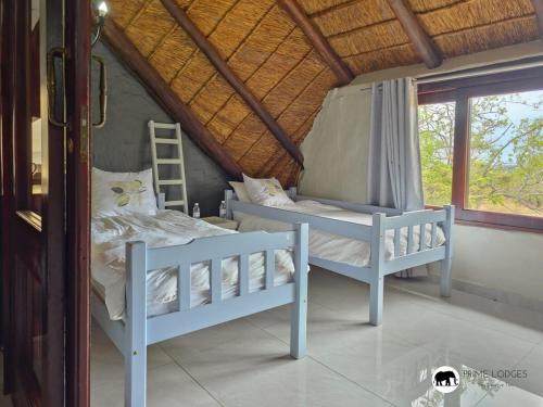 Giường trong phòng chung tại Sarabi Lodge - Zebula